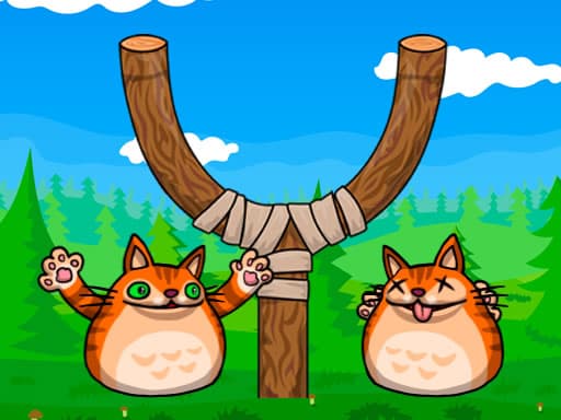 Shot the Angry Cat